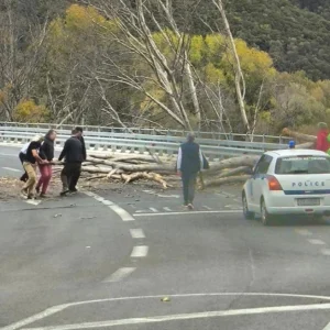 Δέντρο έπεσε μέσα στην παλιά εθνική των Τεμπών