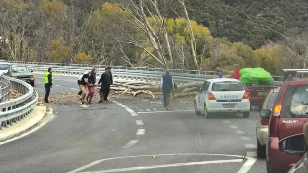 Δέντρο έπεσε μέσα στην παλιά εθνική των Τεμπών