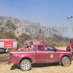 Πυρκαγιά στο Νέο Κόκκινο - Σηκώθηκαν και τα PZL (ΒΙΝΤΕΟ-ΦΩΤΟ)