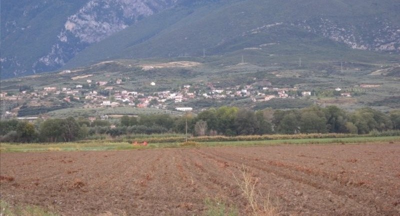 Όροι Διακήρυξης Δημοπρασίας Κληροδότημα «Αθηνάς Δημητριάδου» στην περιοχή Φραντζή Λαμίας