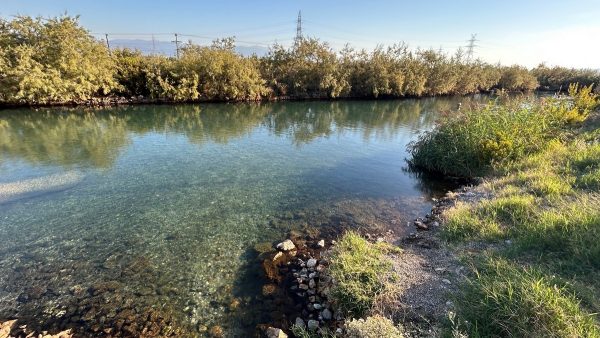 Κλείνουν για λίγες ημέρες τα «Ψωρονέρια» - Θα ληφθεί δείγμα για την αναγνώριση της πηγής