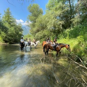 Ιππικός Όμιλος Λαμίας : Γίνε και εσύ κομμάτι του κόσμου της Ιππασίας!