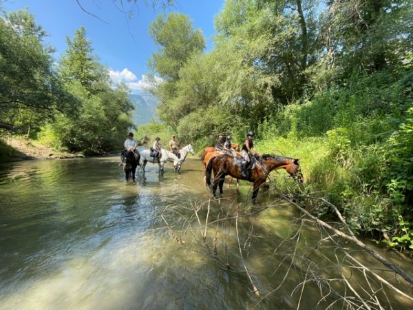 Ιππικός Όμιλος Λαμίας : Γίνε και εσύ κομμάτι του κόσμου της Ιππασίας!