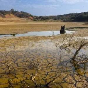 Η κλιματική αλλαγή «χτυπά» την Ελλάδα: 1.800 νεκροί σε έναν χρόνο από την ακραία ζέστη