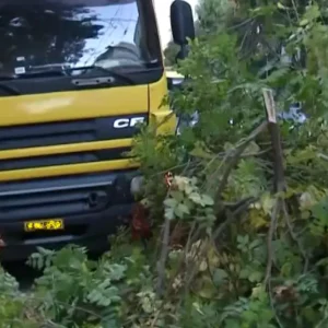 Χάρης Δούκας για τροχαίο στην Πατησιών: «Δέντρο έτρεχε με ταχύτητα και έπεσε σε νταλίκα. Τι άλλο θα ακούσουμε, ψυχραιμία παιδιά»