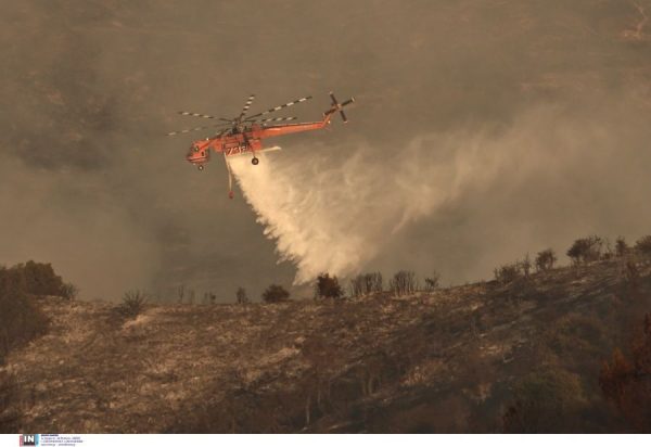 Σε ύφεση η φωτιά στο Ξυλόκαστρο Κορινθίας - Επί τόπου παραμένουν ισχυρές πυροσβεστικές δυνάμεις