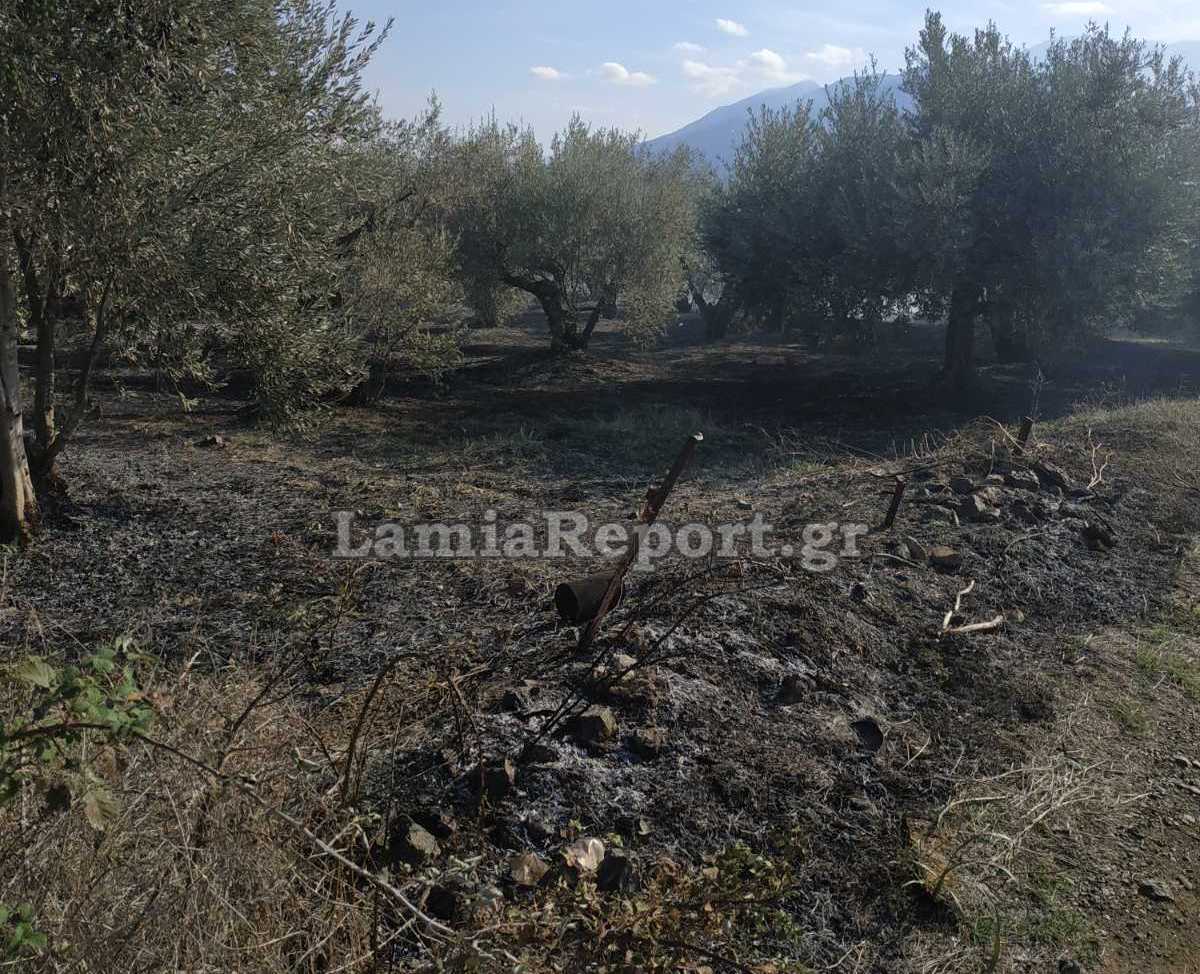 Λαμία: Με πρόστιμα την έβγαλαν οι υπαίτιοι των πυρκαγιών