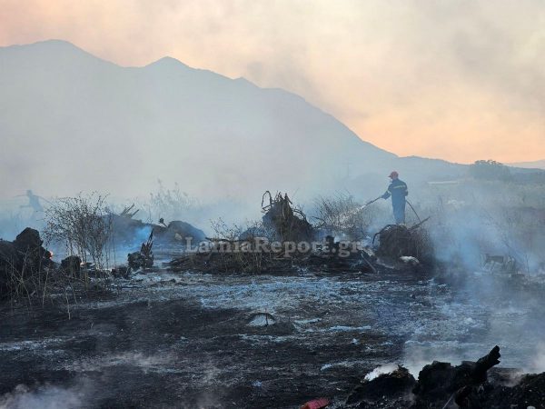 Βαρύ πρόστιμο στη Βόρεια Εύβοια για φωτιά σε αγροτική έκταση