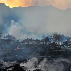 Σύλληψη και πρόστιμα στη Θεσσαλία για φωτιές