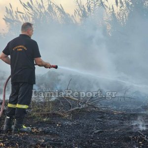 Πυρκαγιά σε καλαμιές στο Μοσχοχώρι (ΒΙΝΤΕΟ-ΦΩΤΟ)