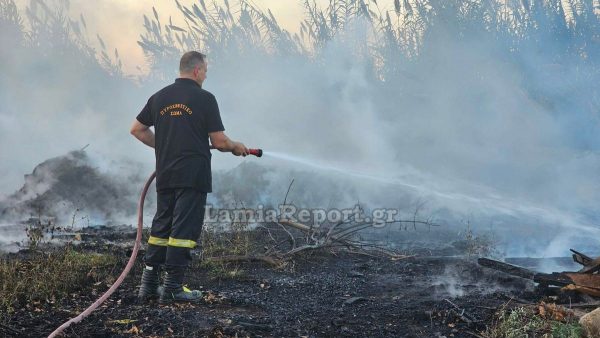 Πυρκαγιά σε καλαμιές στο Μοσχοχώρι (ΒΙΝΤΕΟ-ΦΩΤΟ)