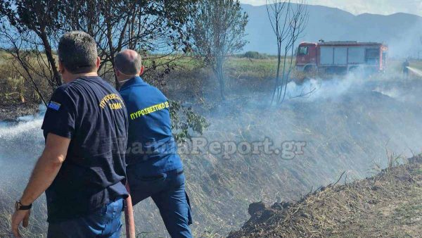 Λαμία: Πρόλαβαν πυρκαγιά στο Παγκράτι Λαμίας (ΒΙΝΤΕΟ-ΦΩΤΟ)