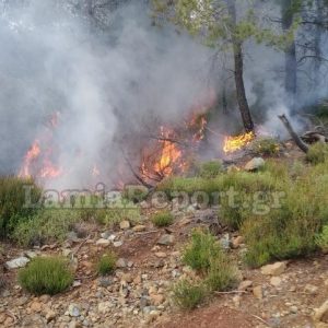 Ανακοίνωση της ΠΕΠΥΔ Στερεάς με αφορμή τα απανωτά συμβάντα πυρκαγιών