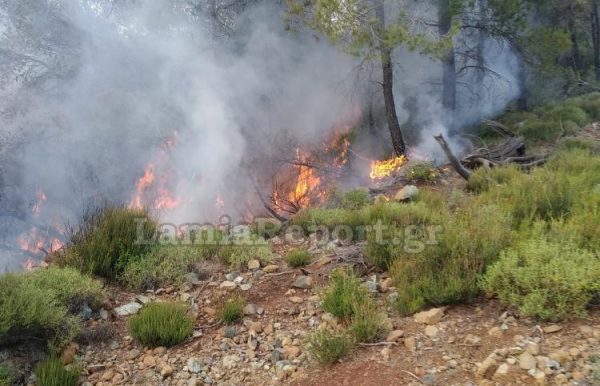 Πρόστιμο άνω των 3.000 ευρώ για άναμμα φωτιάς σε χωράφι στη Βόρεια Εύβοια