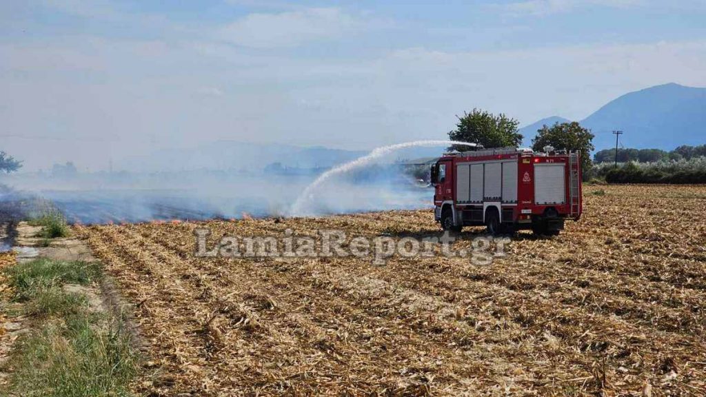 Φθιώτιδα: Διοικητικό πρόστιμο για κάψιμο κλαριών στην Παλαιοβράχα