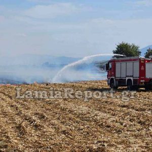 Πυρκαγιά σε υπολείμματα καλλιέργειας πλησίον του Φραντζή Λαμίας (ΒΙΝΤΕΟ-ΦΩΤΟ)