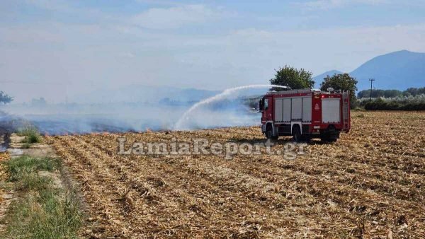 Τελείωσε η αντιπυρική περίοδος αλλά τα πρόστιμα συνεχίζονται