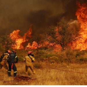 Φωτιά στο Ξυλόκαστρο: Σχεδόν 50.000 στρέμματα έχουν γίνει στάχτη