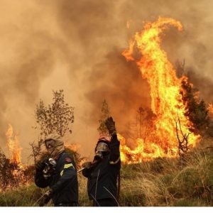 Πυροσβεστική Υπηρεσία: 40 φωτιές το τελευταίο 24ωρο σε όλη τη χώρα