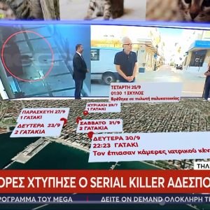 Έπιασαν τον serial killer των αδέσποτων ζώων στο Βόλο