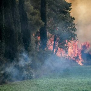 Ηλεία-Φωτιά στο Γεράκι: Δραματικές ώρες για τους κατοίκους