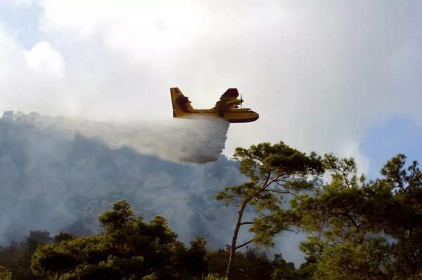 Φωτιά στο Παγγαίο Όρος: Βοήθεια από την Σερβία για την κατάσβεσή της