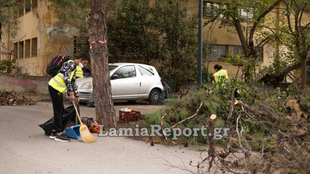 Δήμος Λαμιέων: Συνεχείς παρεμβάσεις από τις υπηρεσίες Πρασίνου και Καθαριότητας