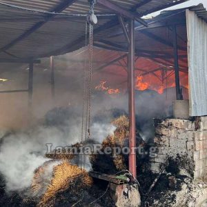 Φθιώτιδα: Πυρκαγιά σε αποθήκη με ζωοτροφές (ΦΩΤΟ)