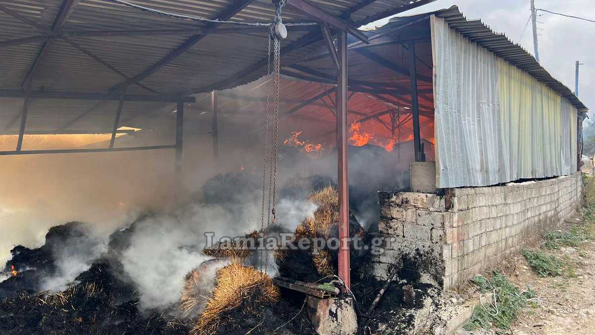 Φθιώτιδα: Πυρκαγιά σε αποθήκη με ζωοτροφές (ΦΩΤΟ)