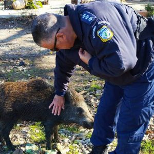 Αγαπάτε τα ζώα ακόμη και τα άγρια