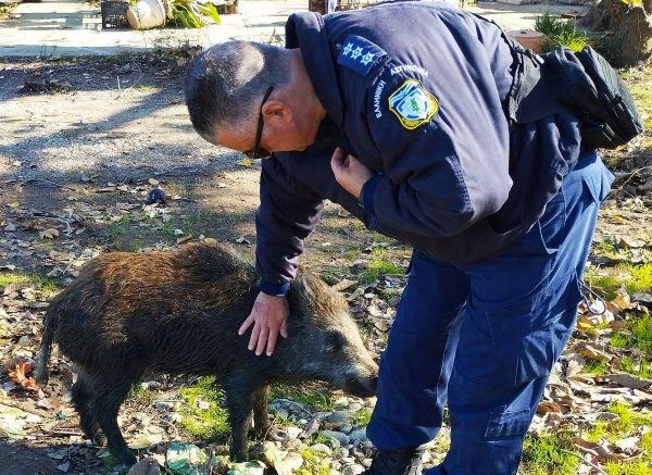 Αγαπάτε τα ζώα ακόμη και τα άγρια