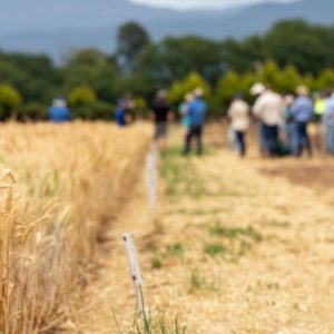 «Εγκατάσταση γεωργών νεαρής ηλικίας»: Η 1η πρόσκληση