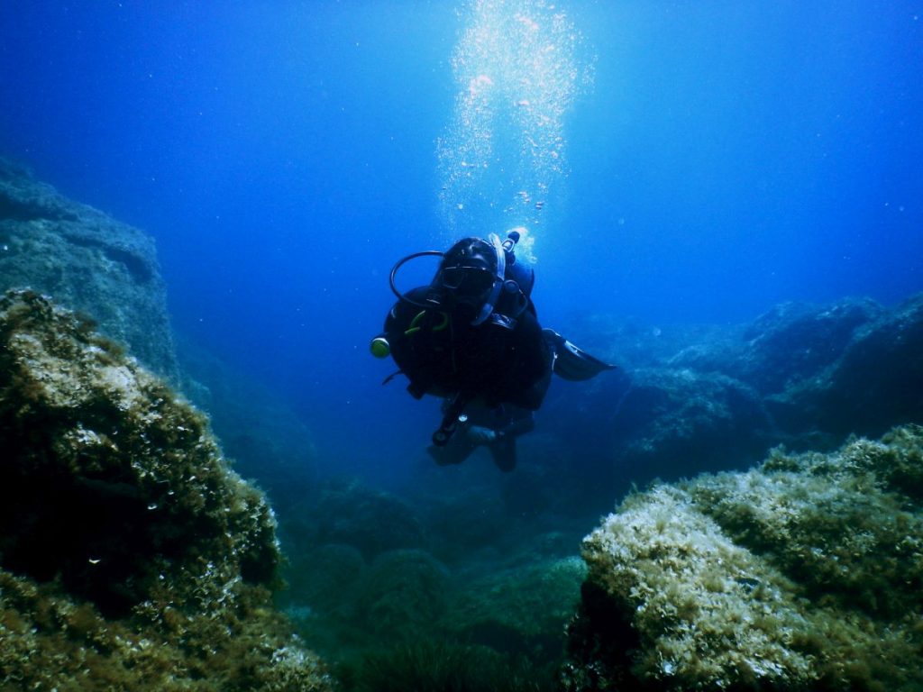 Επιστήμονες ανακάλυψαν το μεγαλύτερο κοράλλι του κόσμου στον Ειρηνικό Ωκεανό - Μεγαλύτερο και από γαλάζια φάλαινα