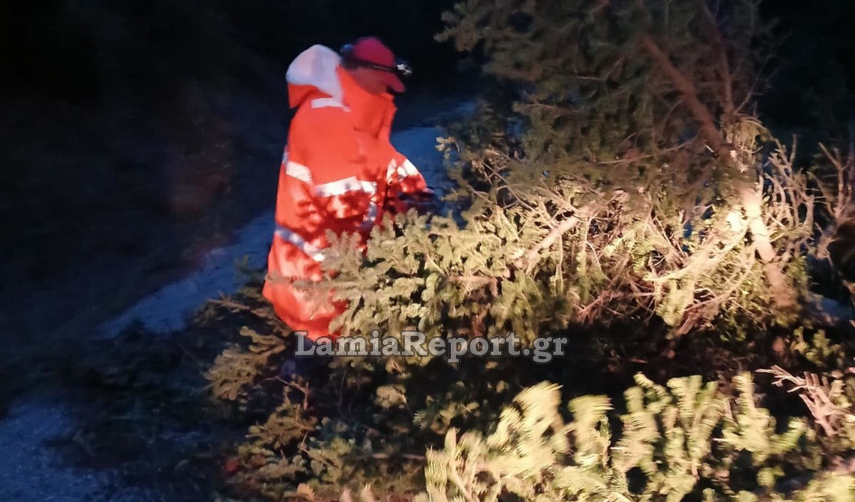 Έριξε δέντρα ο ισχυρός αέρας - Έκλεισε ο δρόμος Καρπενησίου - Καρδίτσας (ΒΙΝΤΕΟ)