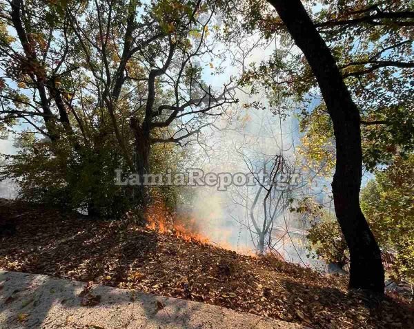 Φθιώτιδα: Μία σύλληψη και δύο πρόστιμα για πρόκληση πυρκαγιών