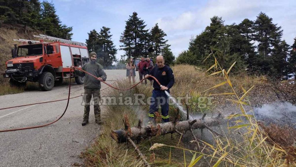 Φθιώτιδα: Λαθροϋλοτόμοι προκάλεσαν πυρκαγιά ρίχνοντας έλατο πάνω σε καλώδια υψηλής τάσης