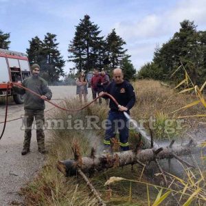 Φθιώτιδα: Λαθροϋλοτόμοι προκάλεσαν πυρκαγιά ρίχνοντας έλατο πάνω σε καλώδια υψηλής τάσης