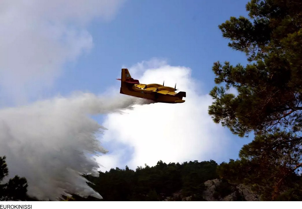 Φωτιά στην Πάτρα: Μεγάλη επιχείρηση της Πυροσβεστικής με ένα αεροσκάφος