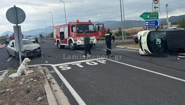 Θανατηφόρο τροχαίο στον κόμβο της Αγίας Μαρίνας - Το σκυλάκι του αδικοχαμένου οδηγού απεγκλωβίστηκε σώο και τον περίμενε