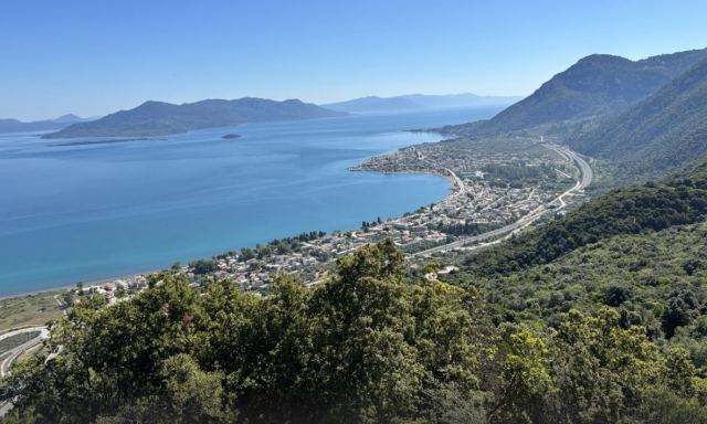 «Αναζητώντας… τις ρίζες»