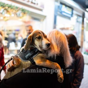 Μια ξεχωριστή εκδήλωση με χαμόγελα και… χαρούμενες ουρίτσες στη Λαμία! (ΒΙΝΤΕΟ - ΦΩΤΟ)