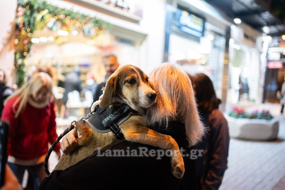 Μια ξεχωριστή εκδήλωση με χαμόγελα και… χαρούμενες ουρίτσες στη Λαμία! (ΒΙΝΤΕΟ - ΦΩΤΟ)