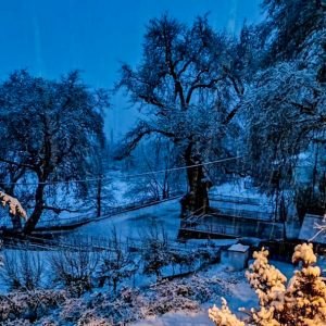 Πόσων ετών είναι ο εντυπωσιακός πλάτανος στο Λυχνό Υπάτης;