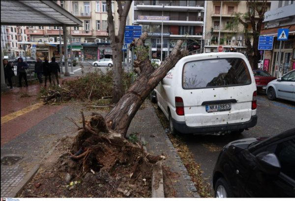 Τσατραφύλλιας: Η κακοκαιρία Bora δεν έχει τελειώσει -Αναμένονται δύο νέα κύματα