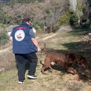 Συνεχίζεται το θρίλερ με την εξαφάνιση του 33χρονου στο Βόλο