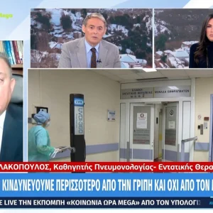 Βασιλακόπουλος: Αυτή τη στιγμή κινδυνεύουμε περισσότερο από τη γρίπη και όχι από τον μεταπνευμονοϊό