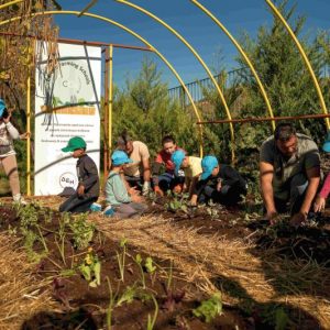 ΔΕΗ και Open Farm προωθούν τη βιώσιμη γεωργία στους μαθητές μέσω του “Carbon Farming Schools”