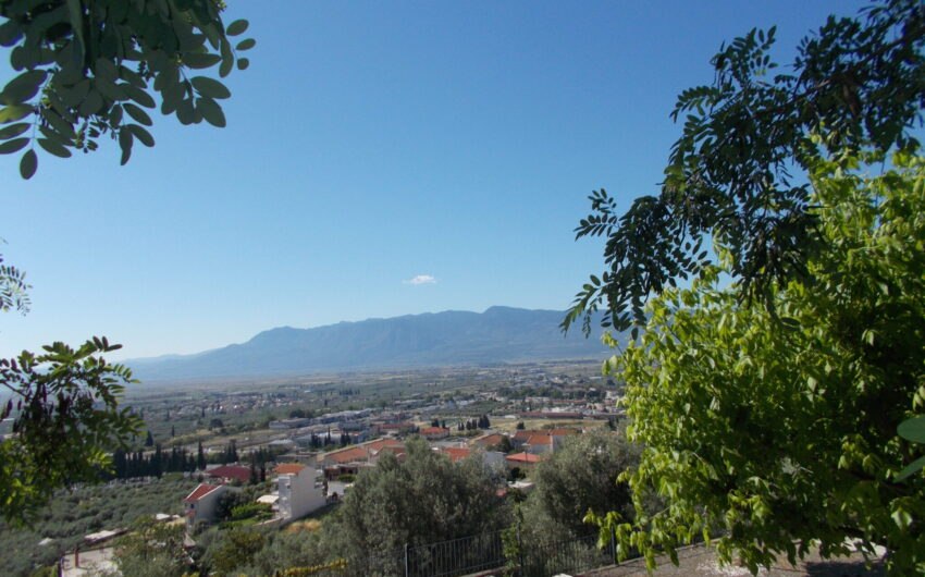 Πωλείται οικόπεδο στον Αφανό Λαμίας σε τιμή ευκαιρίας!