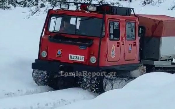 Λαμία: Επιχείρηση της 7ης ΕΜΑΚ σε απροσπέλαστους δρόμους για να σωθούν ζώα (ΒΙΝΤΕΟ)