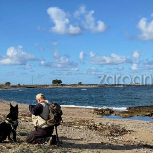 Χανιά: Νεκρά 4 σκυλιά από φόλες στα Φαλάσαρνα - Αναζητείται ο δράστης (ΦΩΤΟ)